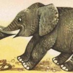 fabula la tortuga el hipopótamo y el elefante