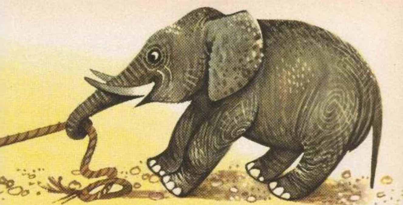 fabula la tortuga el hipopótamo y el elefante